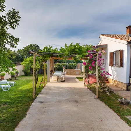 House Dragica, *